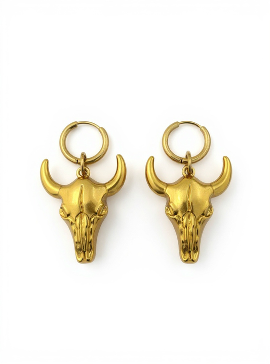 Boucles d’oreilles Bronco