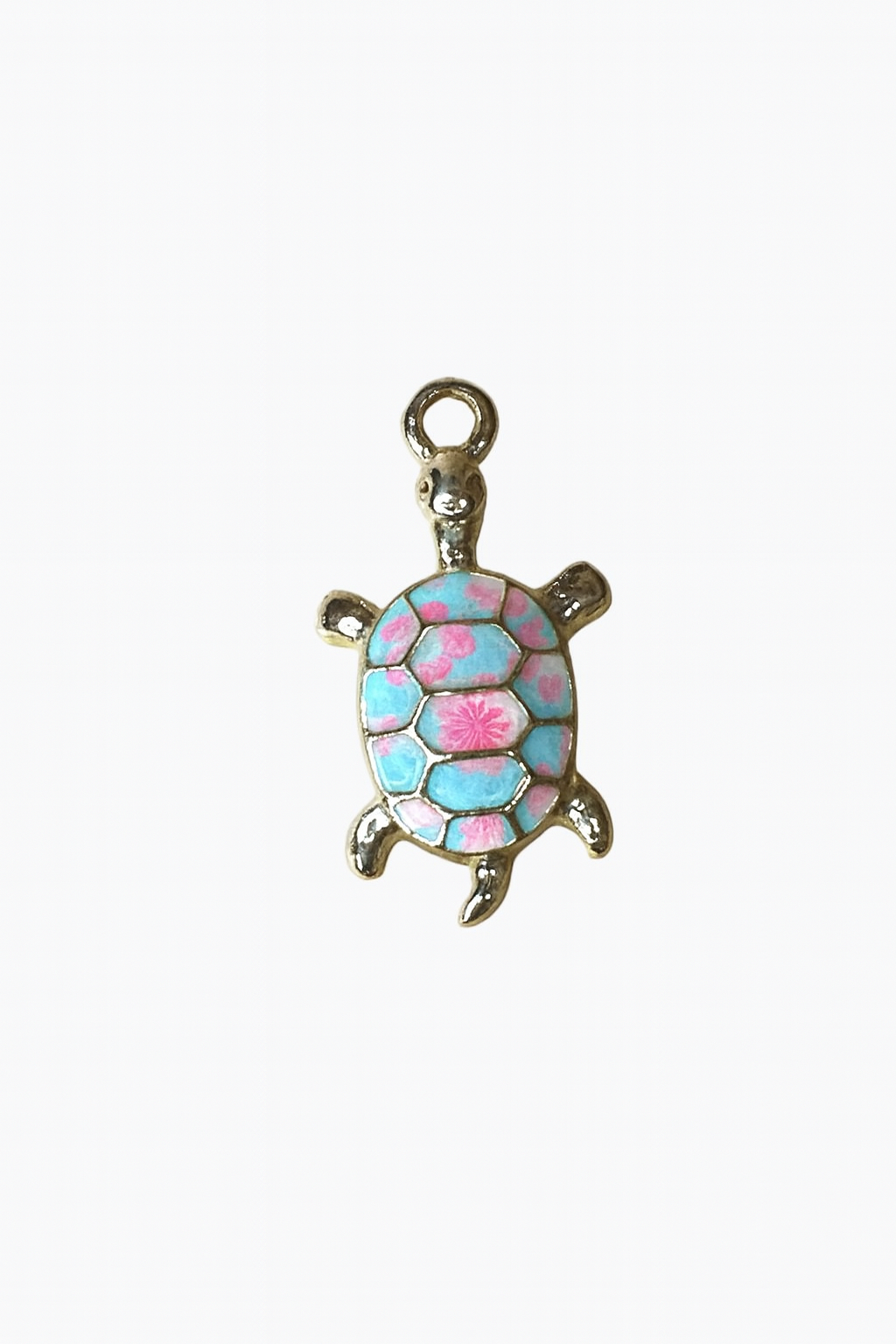 Charm - Tortue